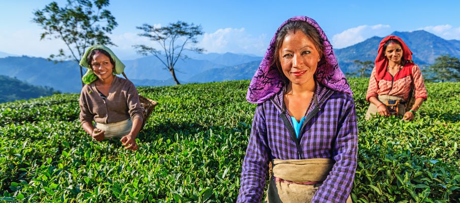 Sikkim Darjeeling Tour Package with Irish  Travels and Tours