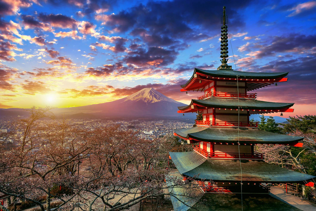International Tour Packages