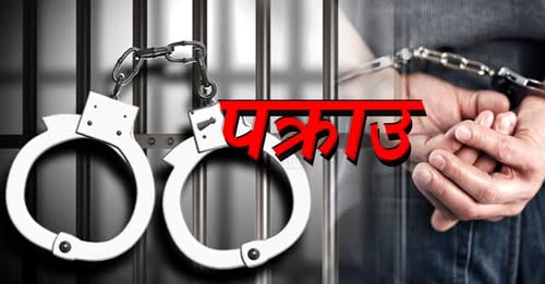 गगन थापाको घरबाट फ्रिज र उफर चोरी गरेको आरोपमा एकजना पक्राउ