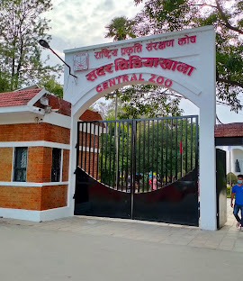 जावलाखेल चिडियाखानाका जीवजन्तुमा बर्डफ्लु पुष्टि, आजैदेखि अनिश्चितकालका लागि बन्द