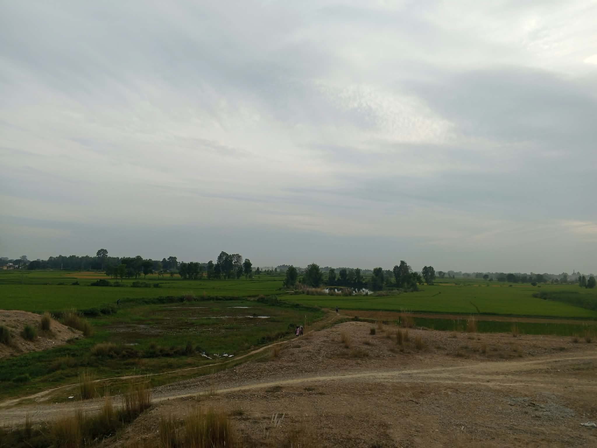 ‘अर्नब’ चक्रवातको असर सर्लाहीमा, धान भित्र्याउन किसानलाई सकस