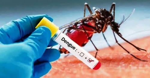 बङ्गलादेशमा डेंगुको कारण ४०० भन्दा धेरैको निधन