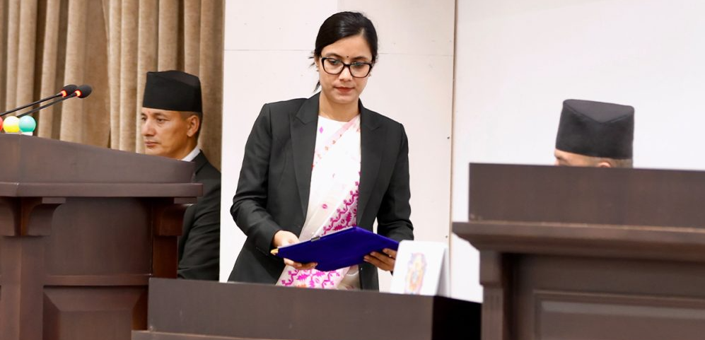 राष्ट्रिय सेवा दल विधेयक प्रतिनिधिसभाबाट पारित, सैनिकबाहेकका विज्ञले पनि तालिम दिन पाउने