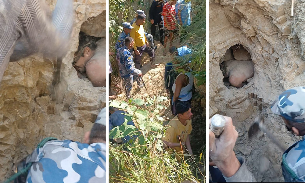 दुम्सी मार्न जाँदा दुम्सीको प्वालमा अड्किएका पुरुषको उद्धार