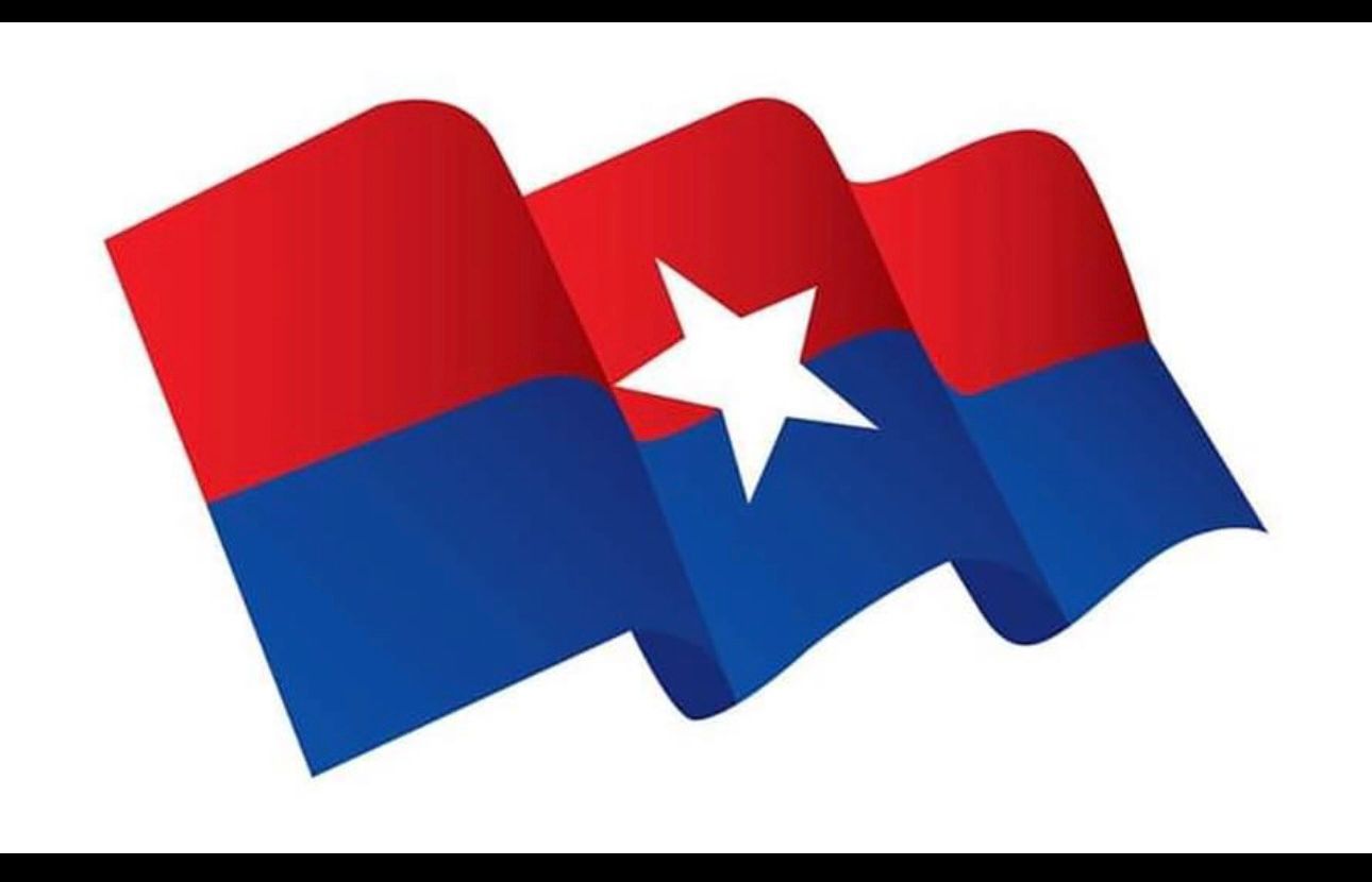 महाराज गुरुङको संयोजनमा युवा संघले वडादेखि प्रदेशसम्म युथ फोर्स गठन गर्ने