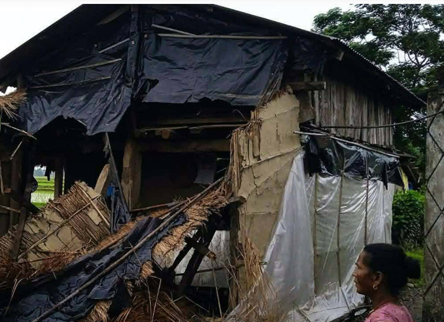 ‘ध्रुवे’ हात्तीको आतङ्क रोकिएन, भरतपुरपछि माडीमा पसेर घर भत्काउन थालेपछि स्थानीय त्रसित