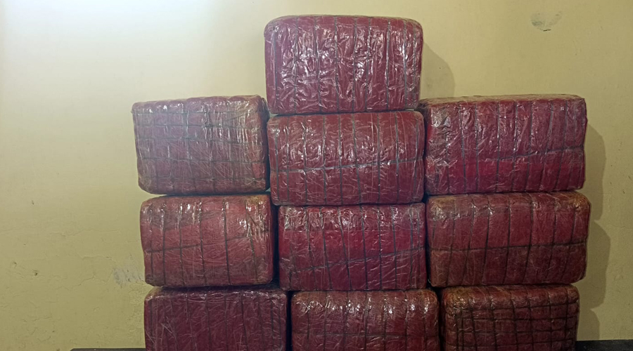 पर्सामा एक क्विन्टल चार किलोग्राम गाँजासहित दुईजना पक्राउ