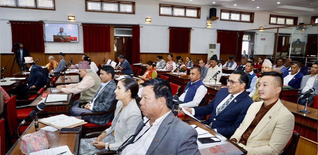 प्रदेश र स्थानीय तहलाई न्यायोचित बजेट दिन राष्ट्रियसभामा सांसदहरूको माग